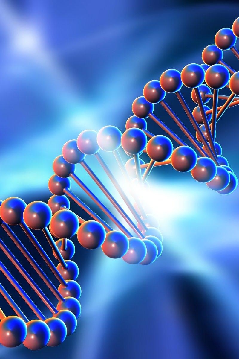 ДНК - это квантовый биокомпьютер