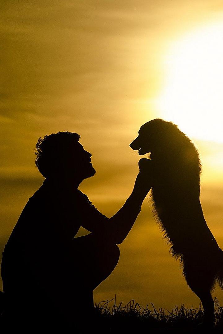 Это надо видеть! Животные спасают жизнь человеку