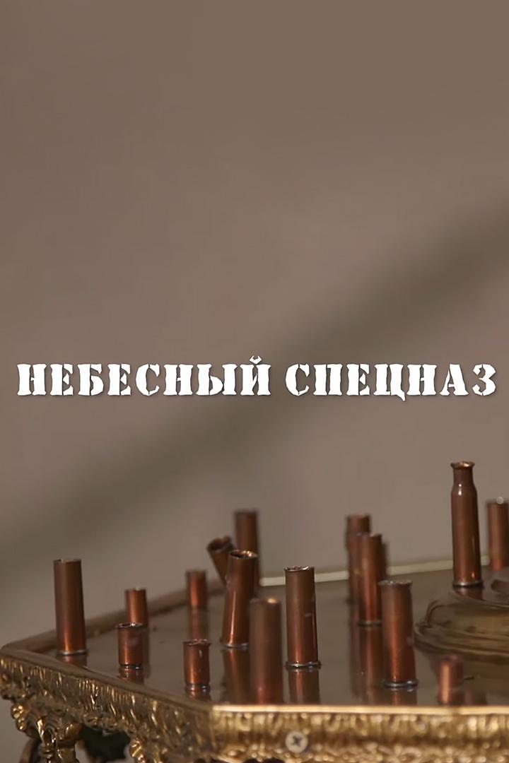 Небесный спецназ