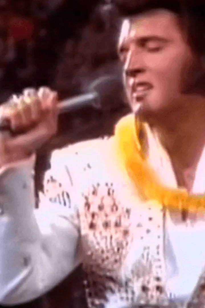 Elvis Presley - The Later Years