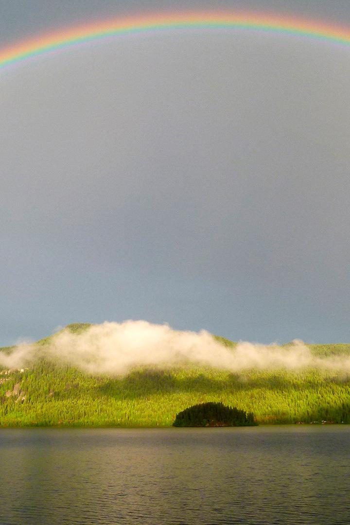 Чудеса природы