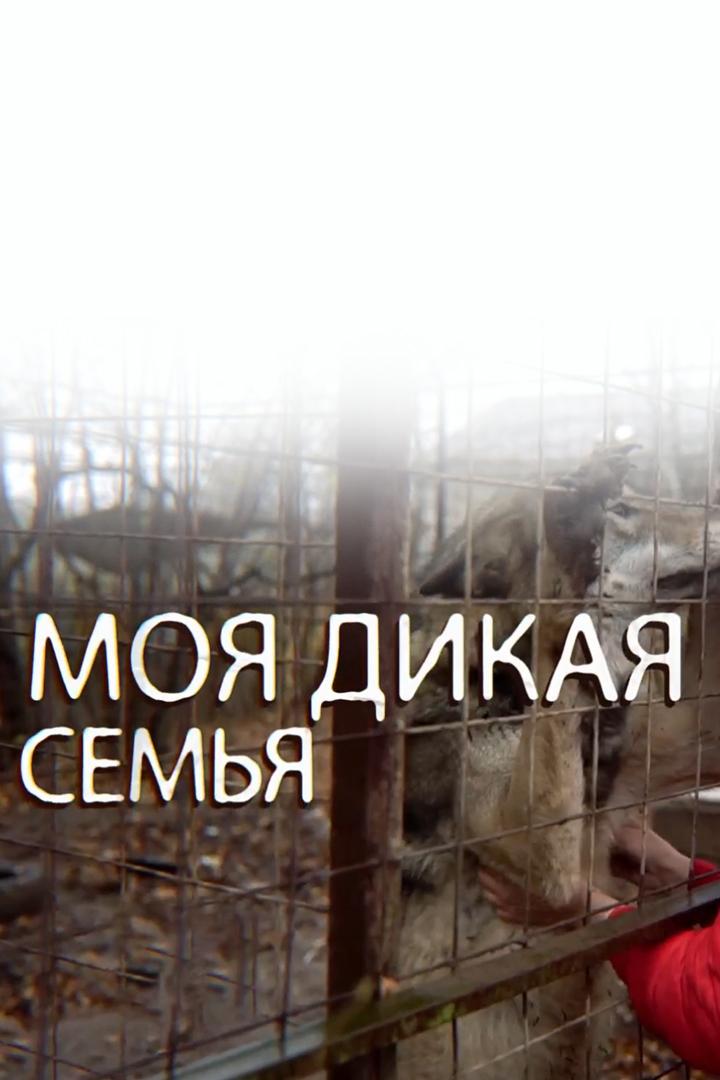 Моя дикая семья