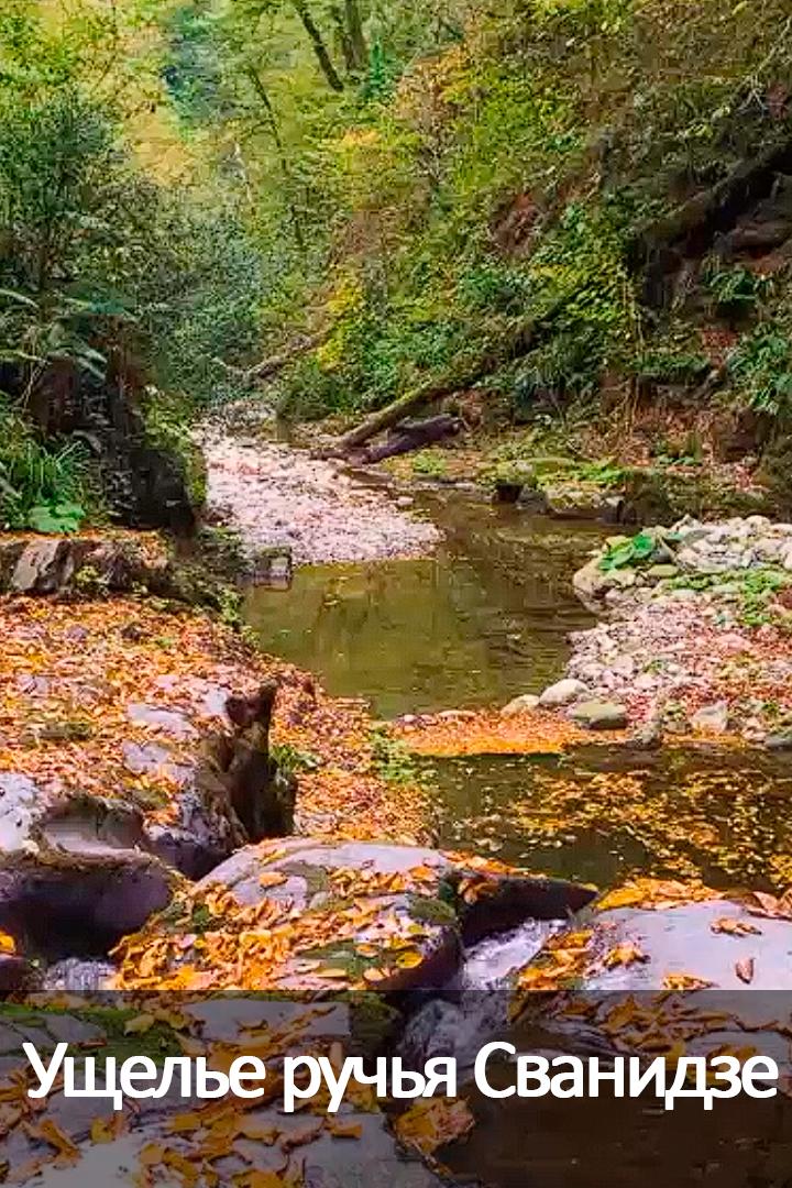 Ущелье ручья Сванидзе