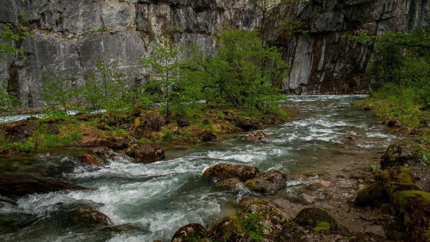 Река Юпшара