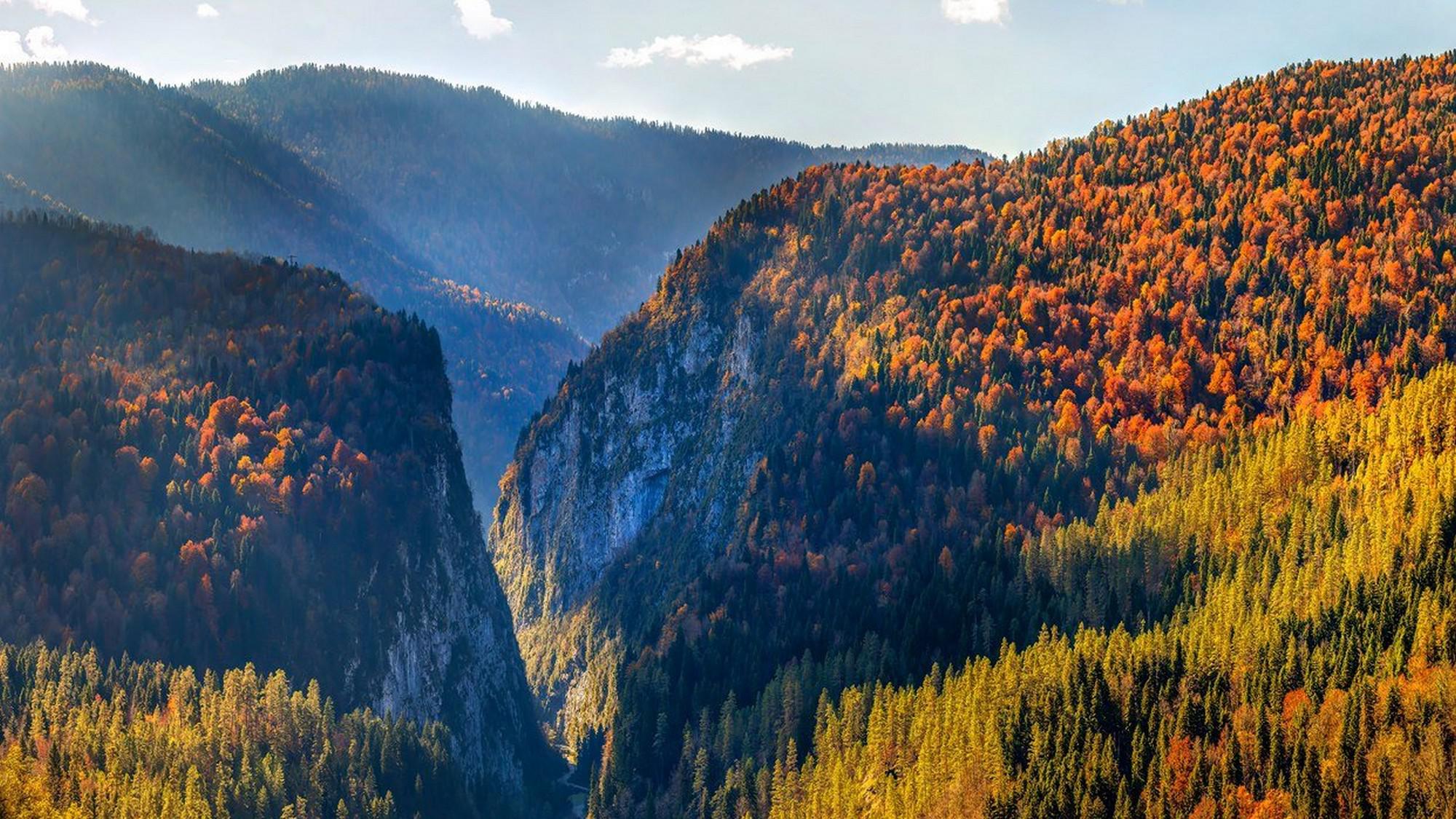 Рицинский национальный парк