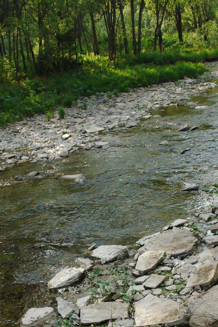 Землянка у реки