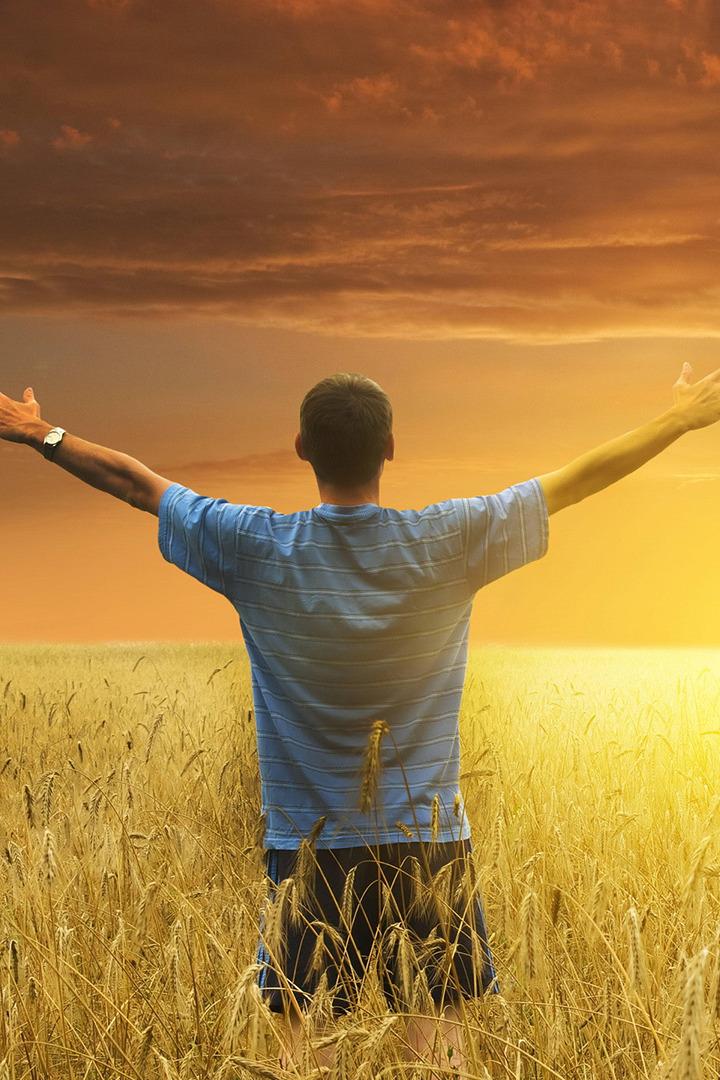 Краски жизни