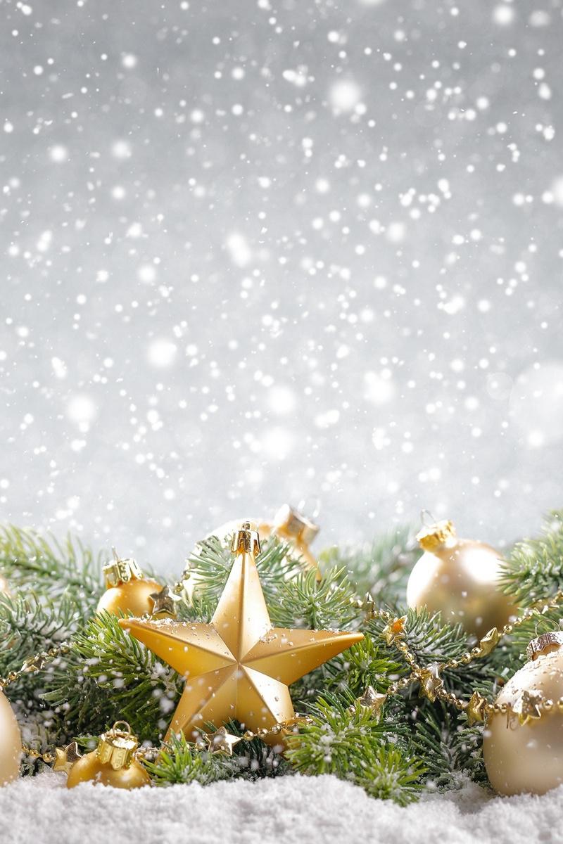 Рождество бывает раз в году