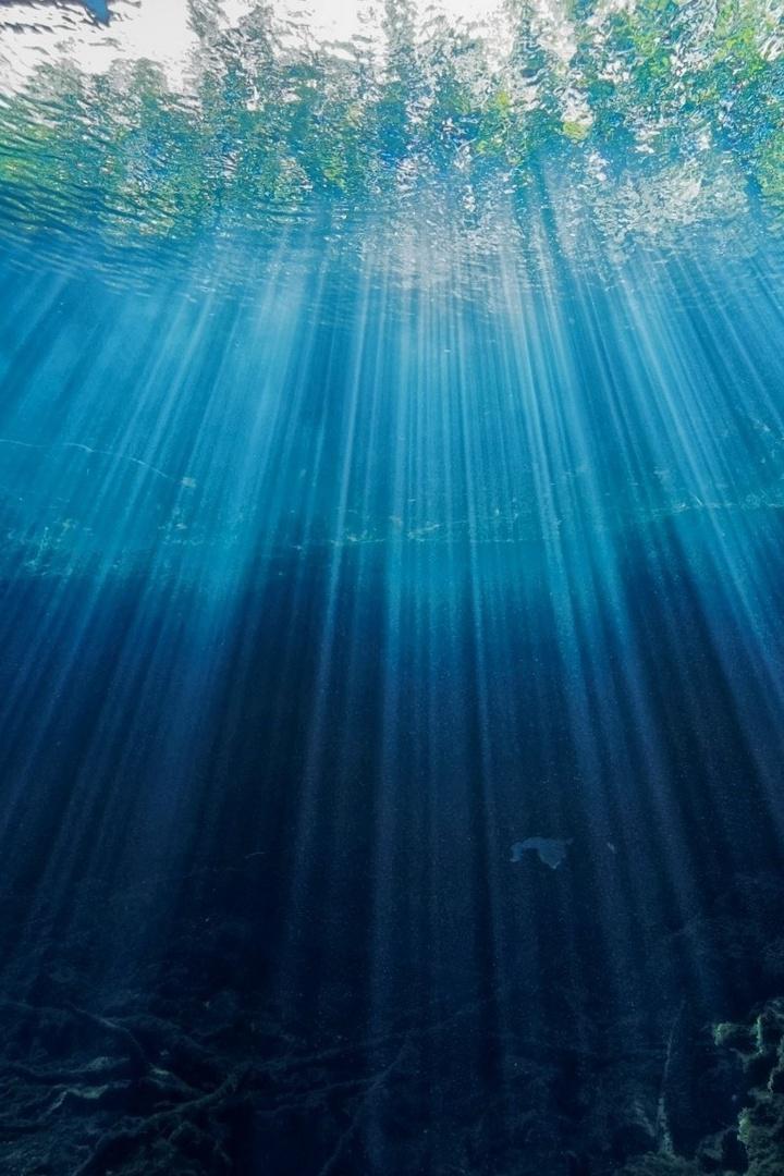 Планета под водой