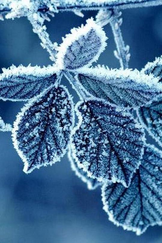 Начало зимы