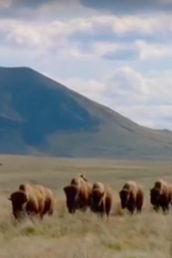 Невероятные путешествия с Саймоном Ривом