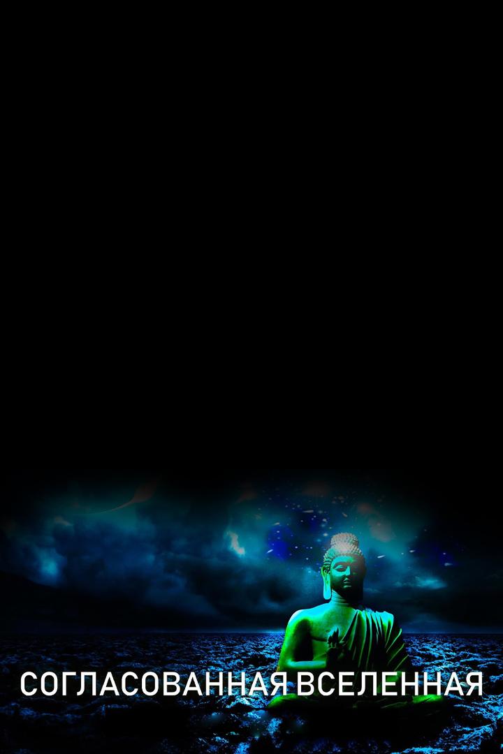 Согласованная вселенная