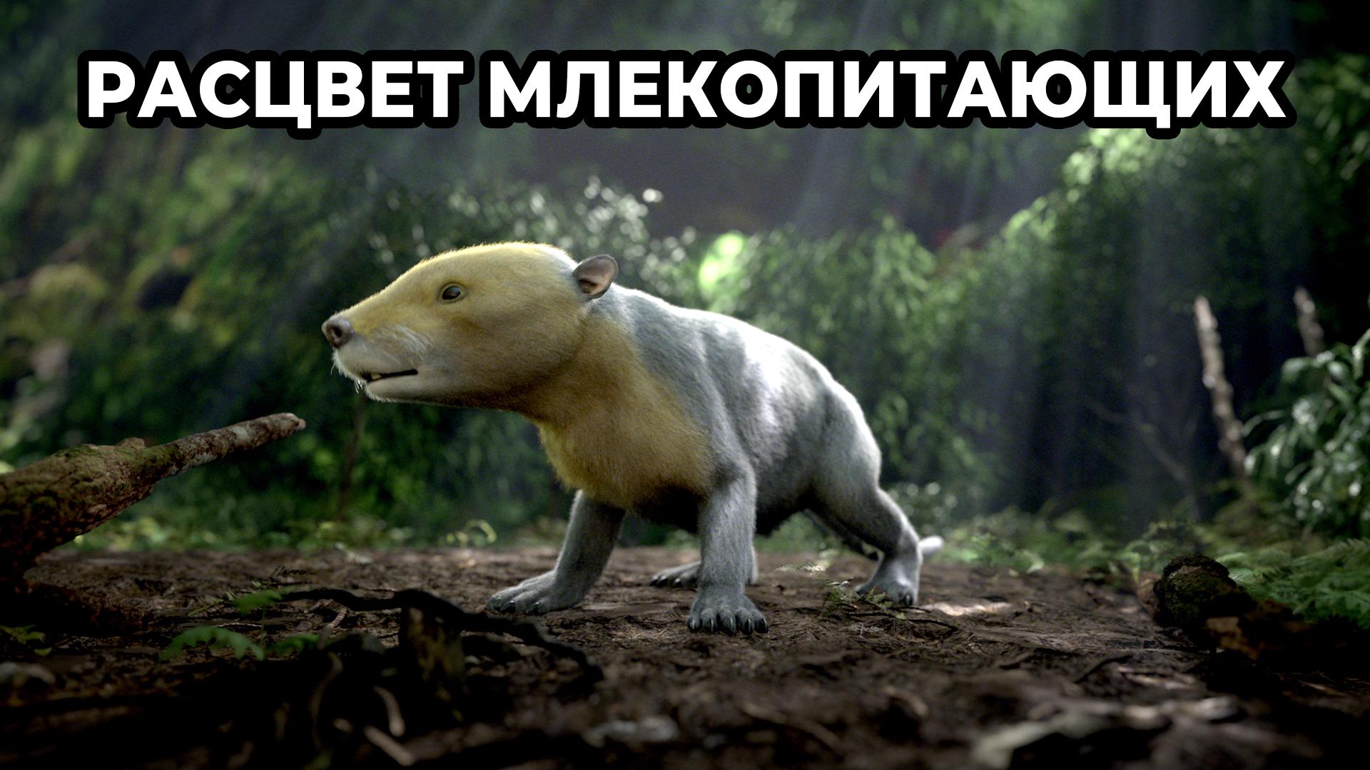 Расцвет млекопитающих