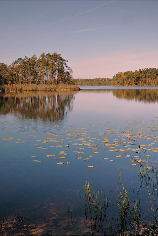 Озеро Сосновое