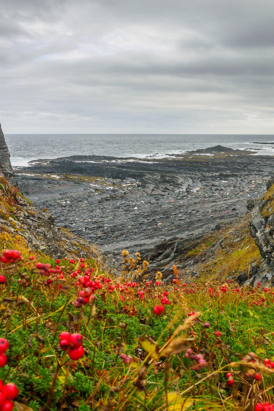 Полуостров Рыбачий