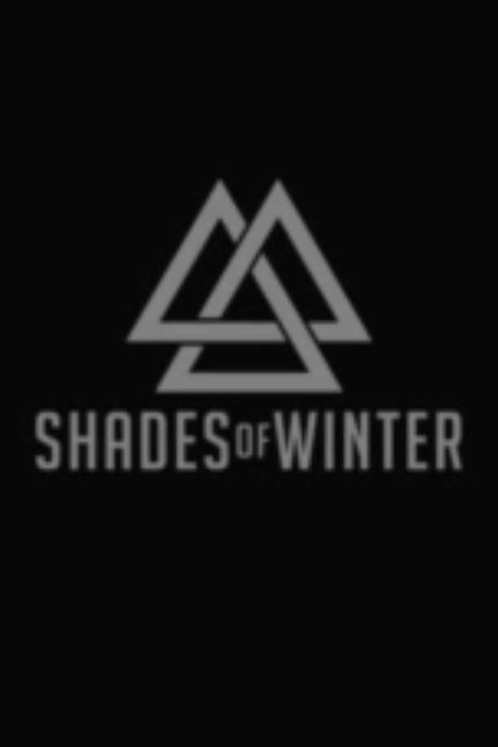 Оттенки зимы