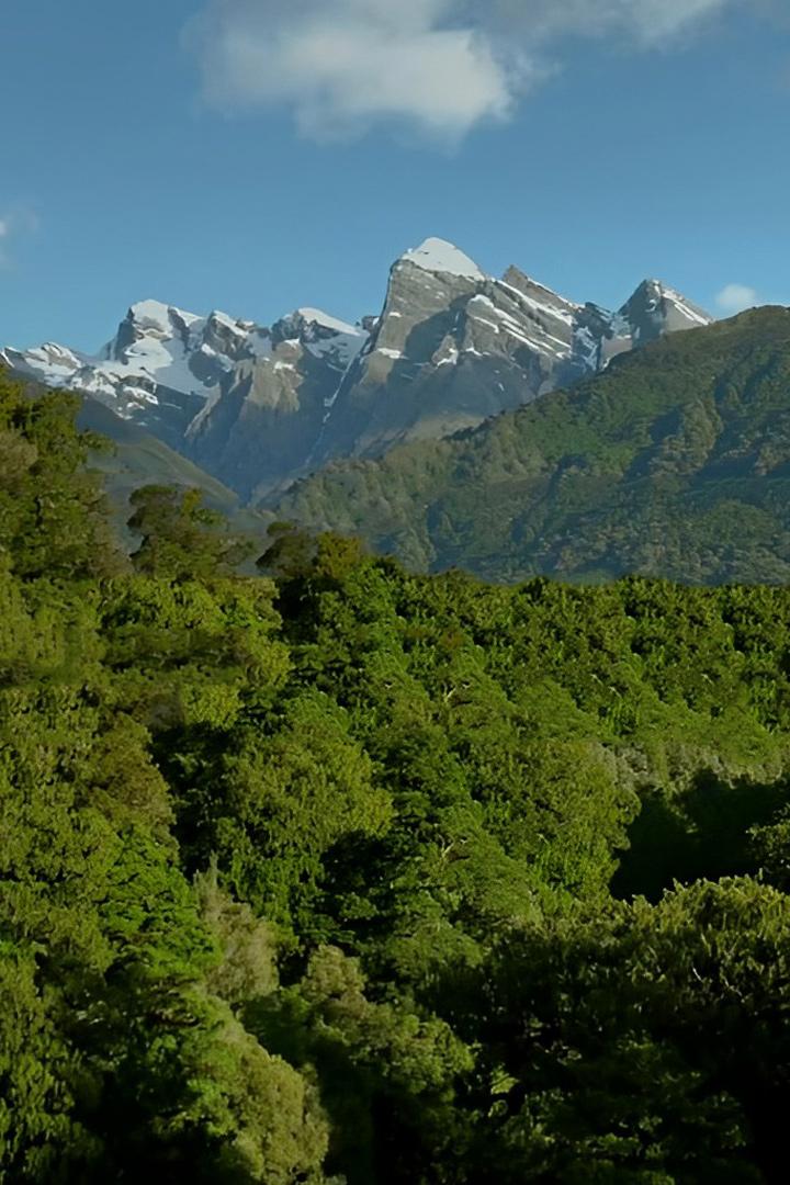 Дикая Новая Зеландия