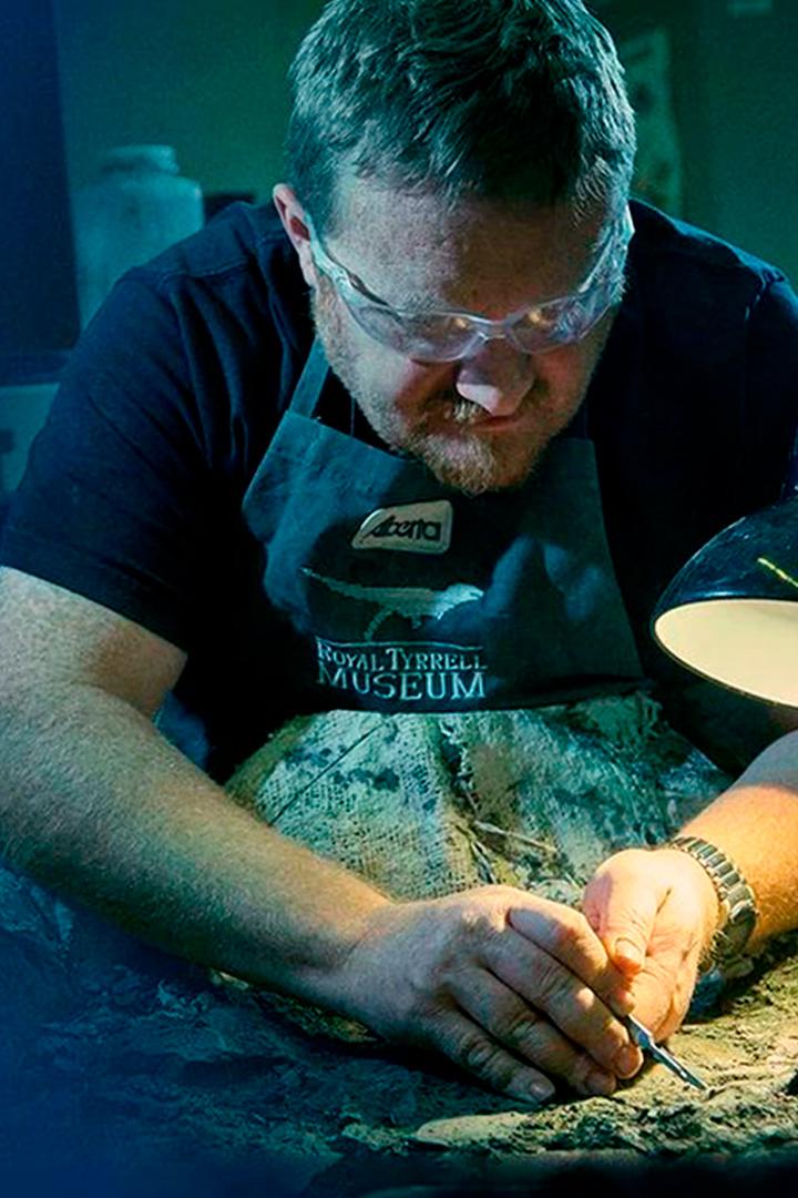 Нераскрытое дело динозавра