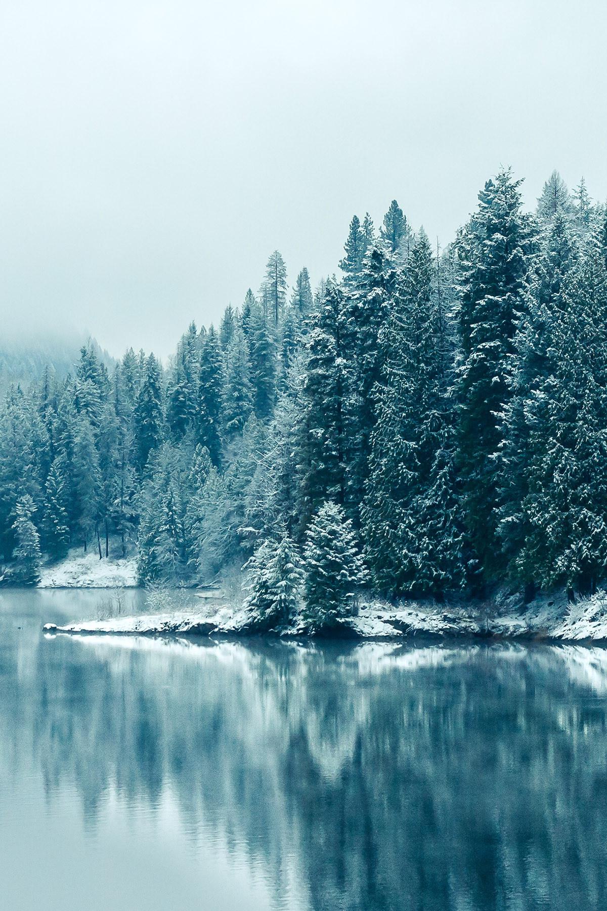 Прогулка в Сибирь