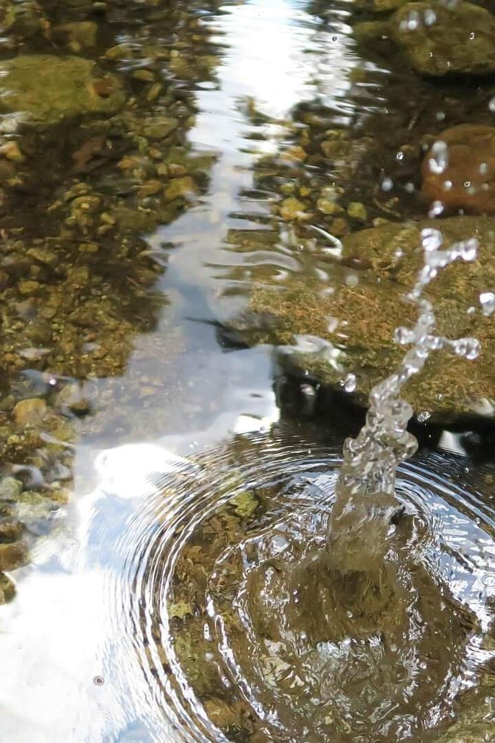 Речка Танковая