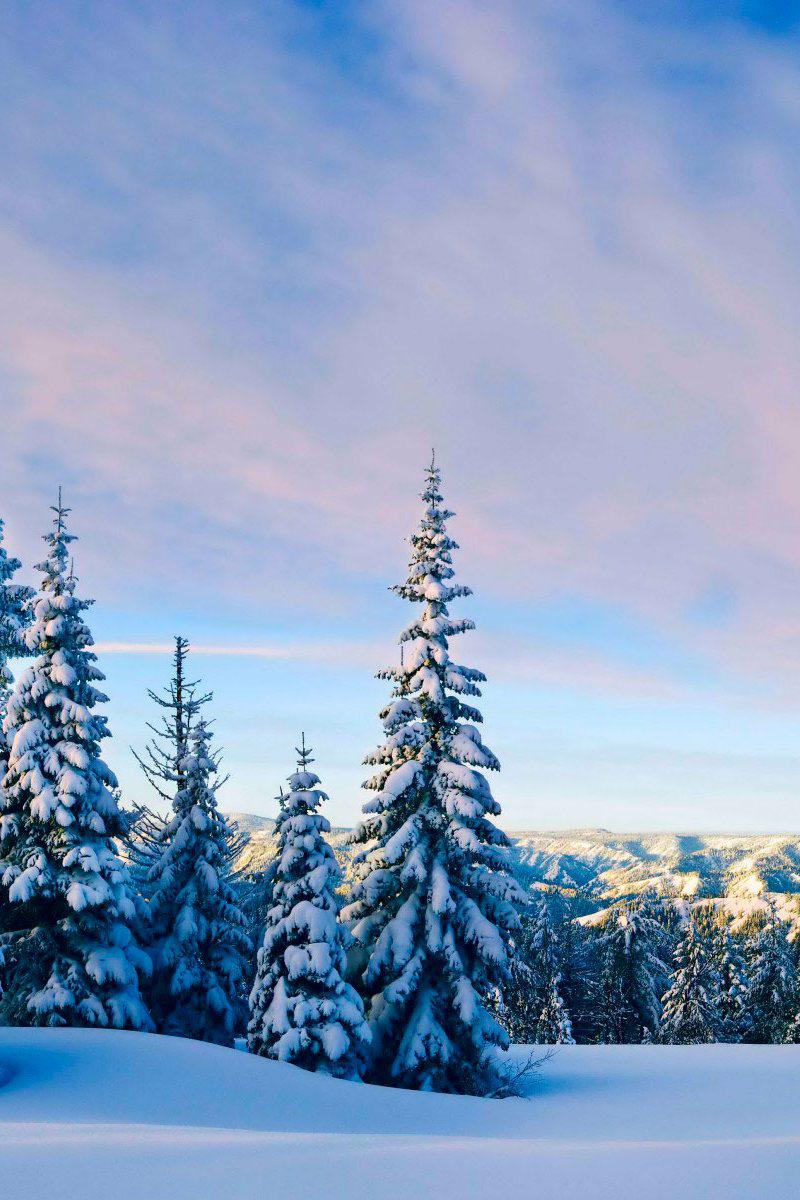 Зимняя сказка