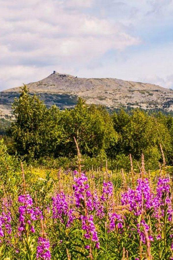 Гора Ослянка