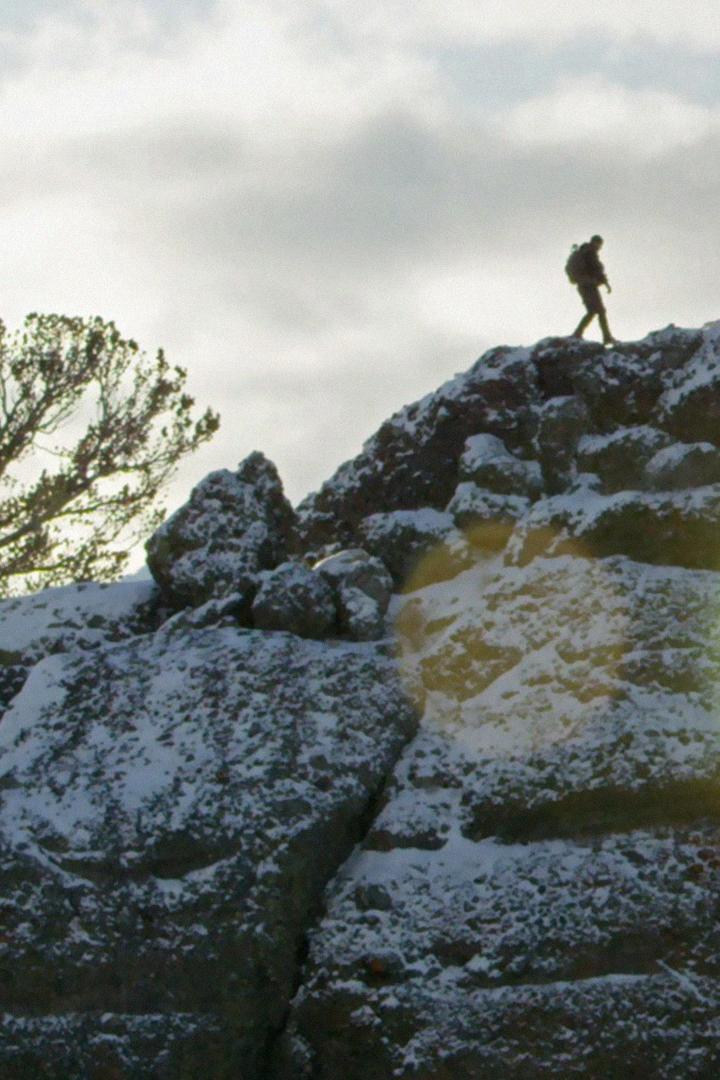 По следам диких животных с Кейси Андерсоном