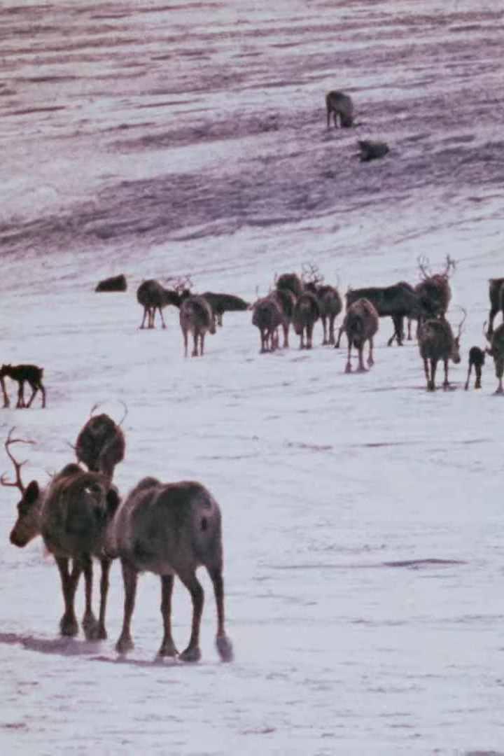 Земля предков