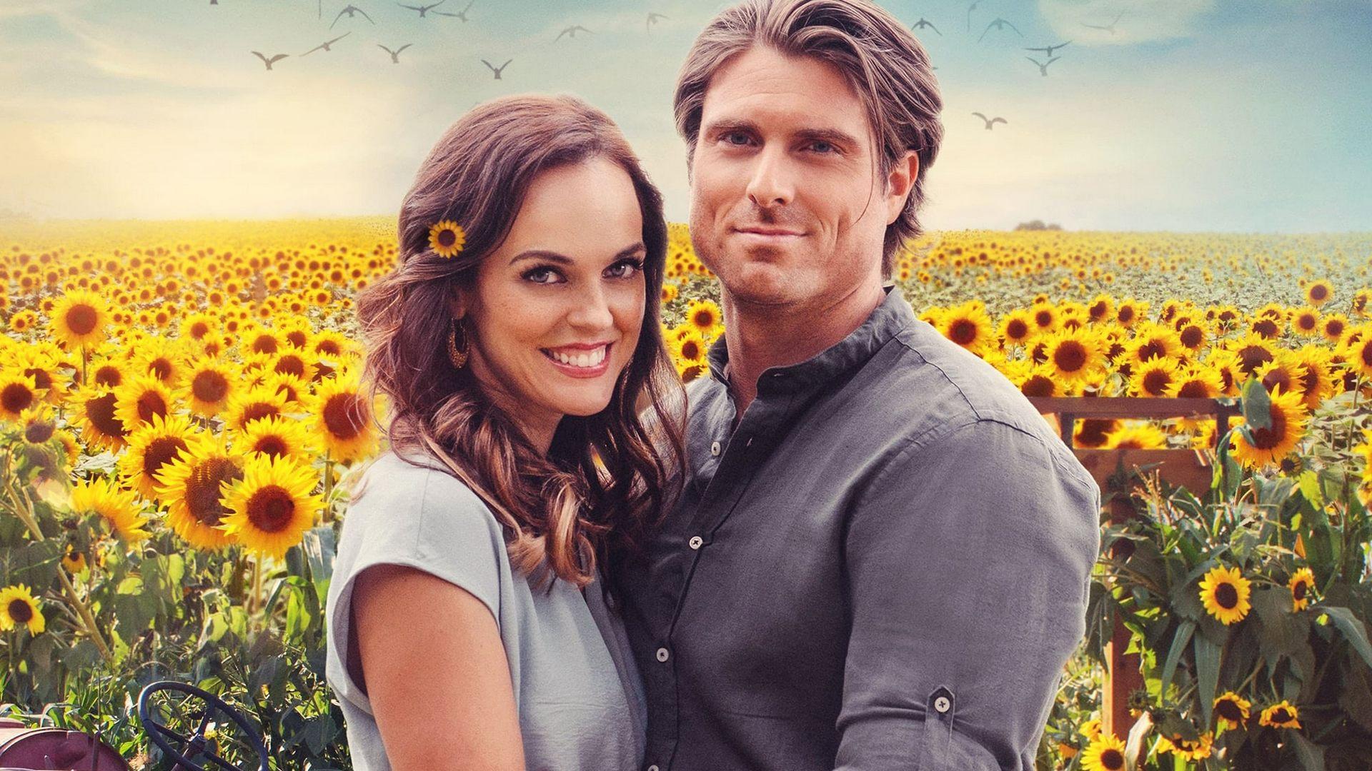 Истории любви Долины подсолнухов