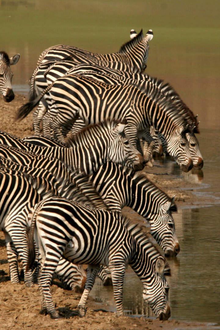 Сказочная Замбия