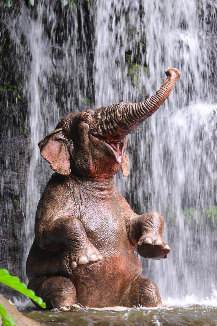 Улыбающийся слон