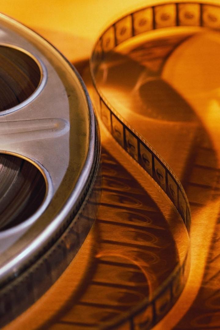 Моя голубка