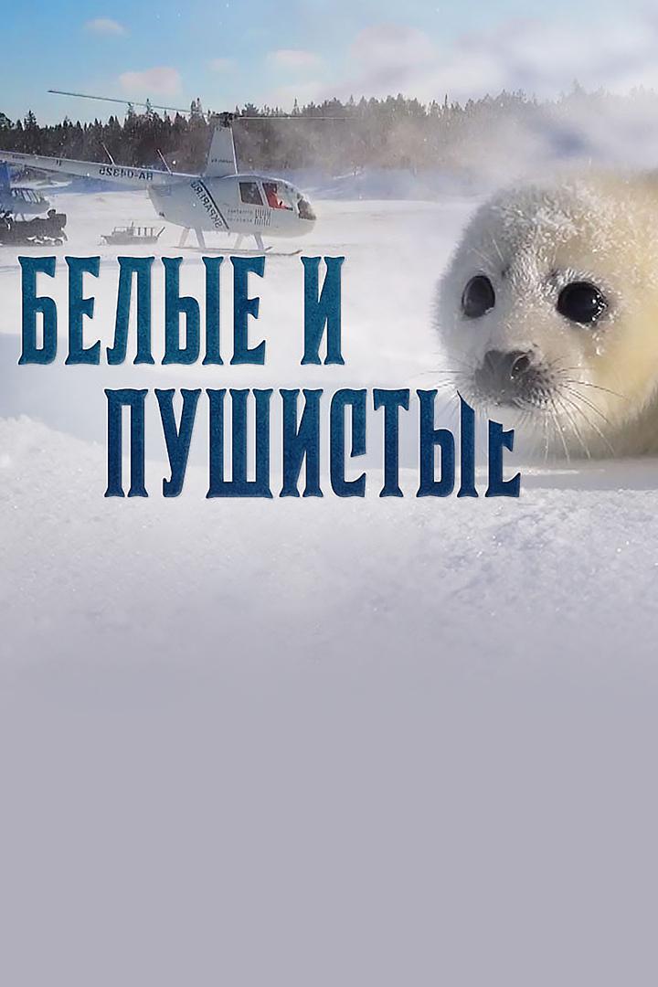 Белые и пушистые