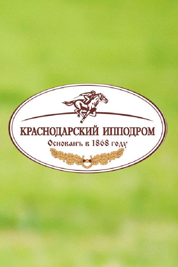 Скачки. Большой Летний Приз. Трансляция из Краснодара