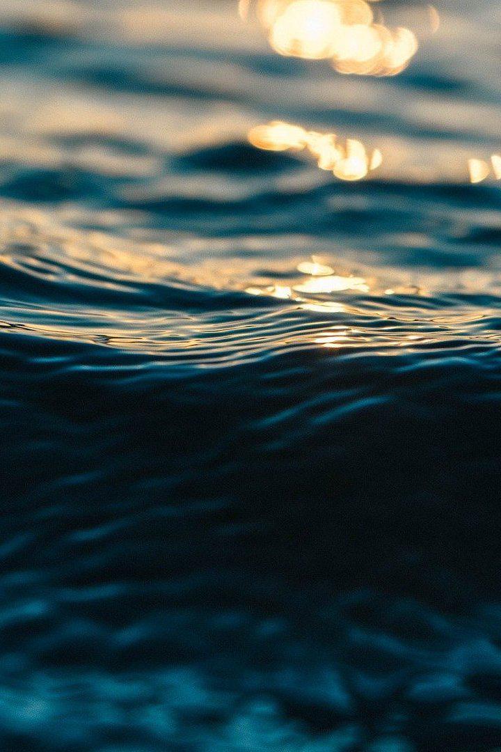 Дикая природа океанов