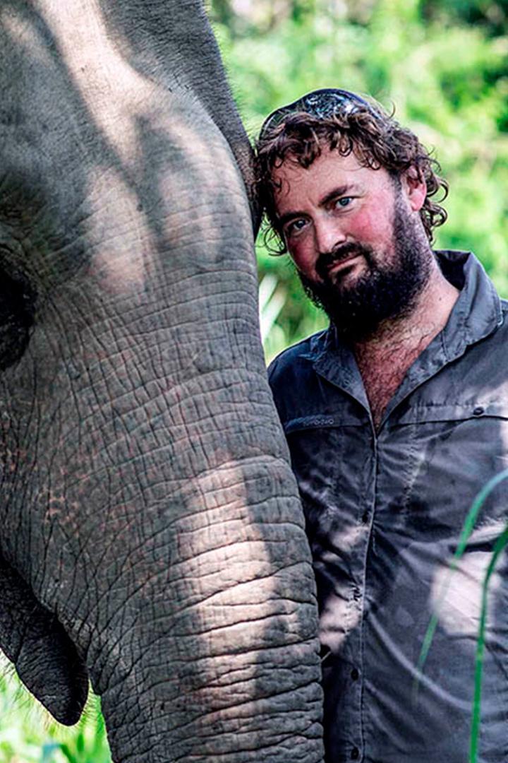 Больница для слонов