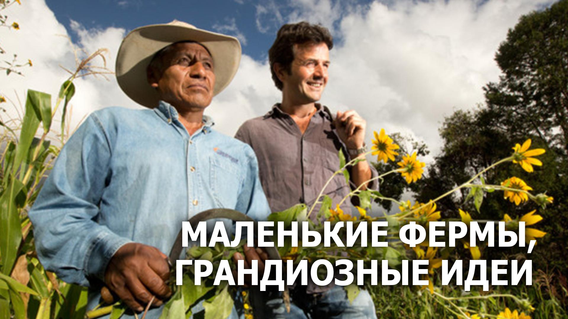 Маленькие фермы, грандиозные идеи