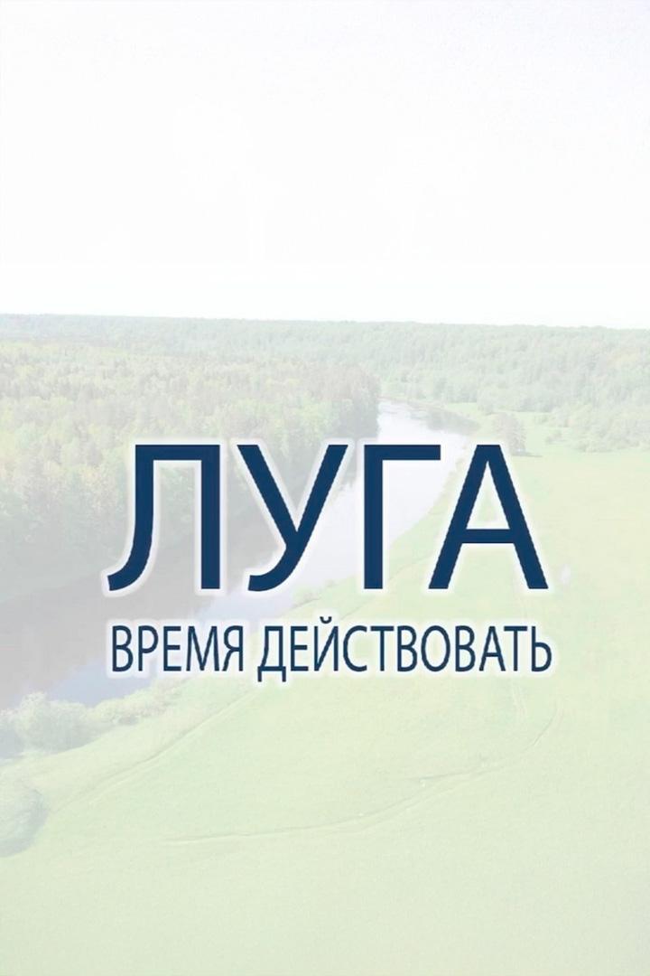 Луга. Время действовать