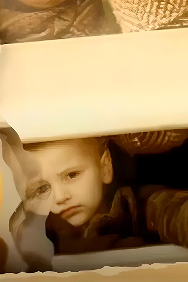 Генерал Младич. Неуловимый мститель