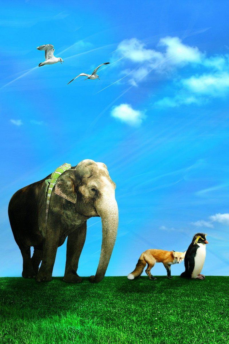 Зоорепортаж