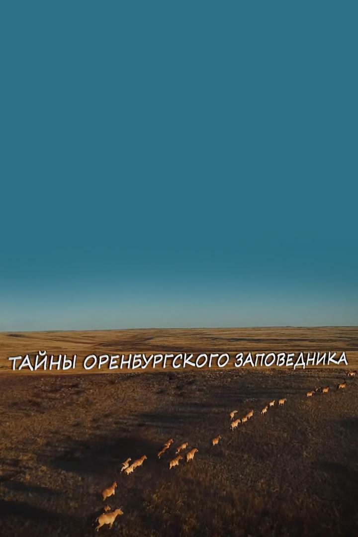 История Оренбургского заповедника