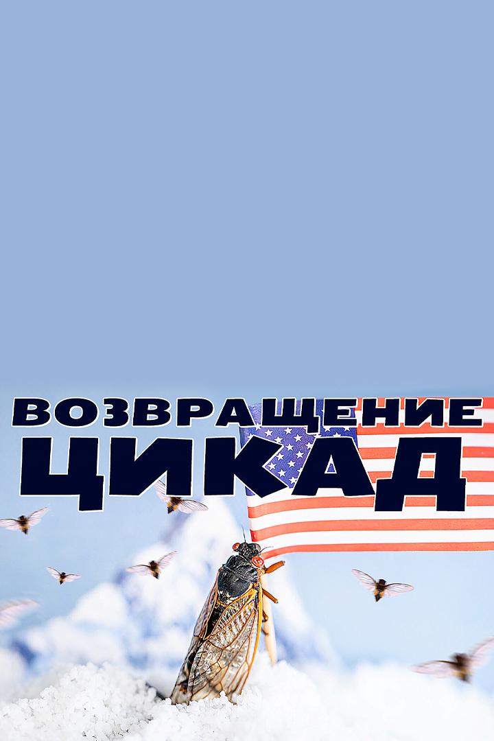 Возвращение цикад