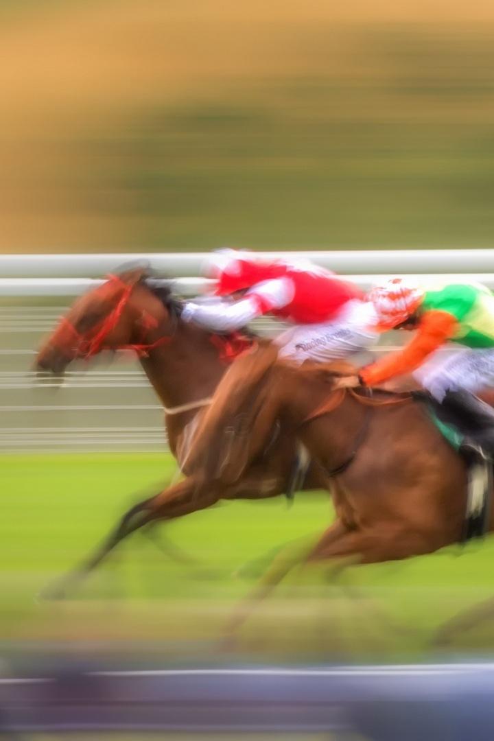 Скачки. Сады Придонья. Большой Всероссийский приз (Дерби). Трансляция из Москвы