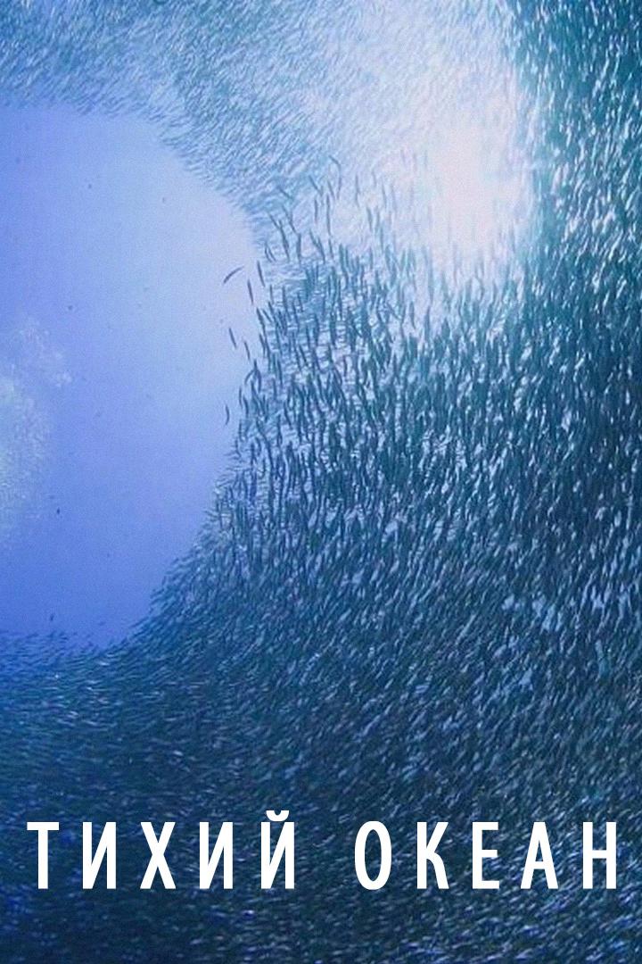 Тихий океан