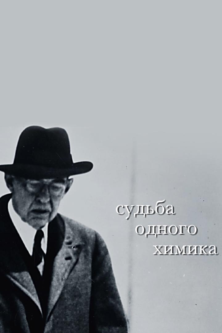 Судьба одного химика