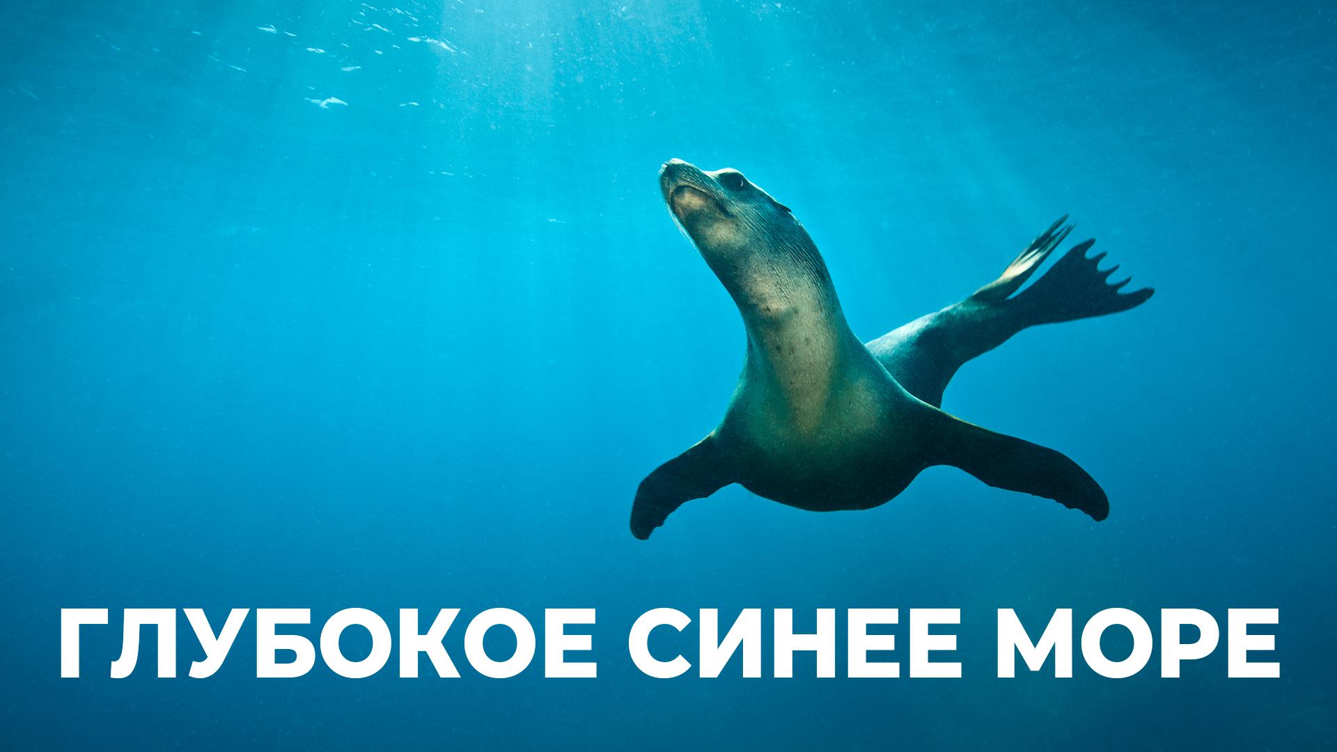 Глубокое синее море