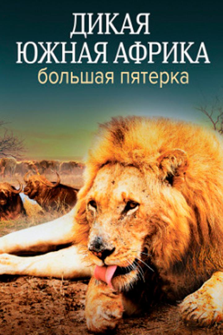 Дикая Южная Африка. Большая пятерка