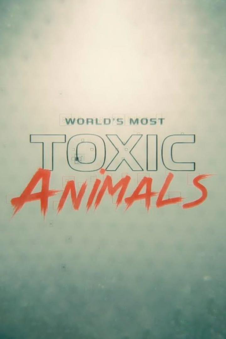 Самые ядовитые животные мира