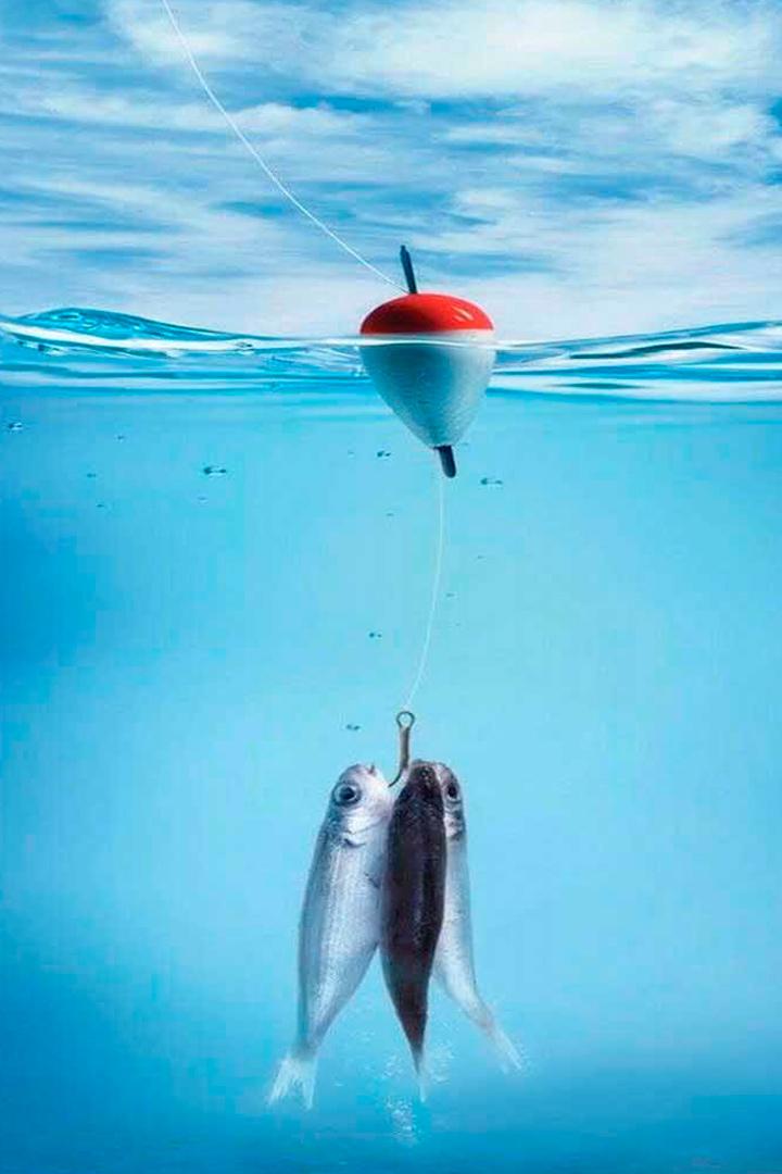 Удачная рыбалка