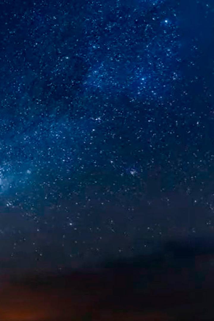 Африканские ночные охотники